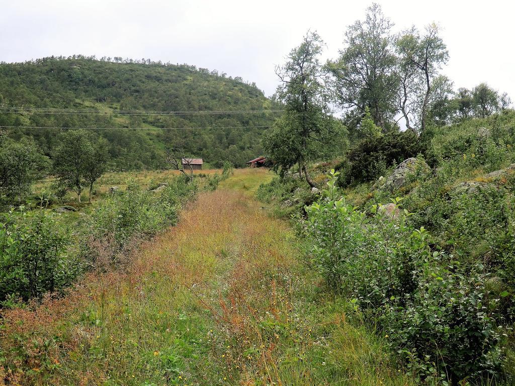 Haukeli Husky Fjellgard Villa Exterior photo